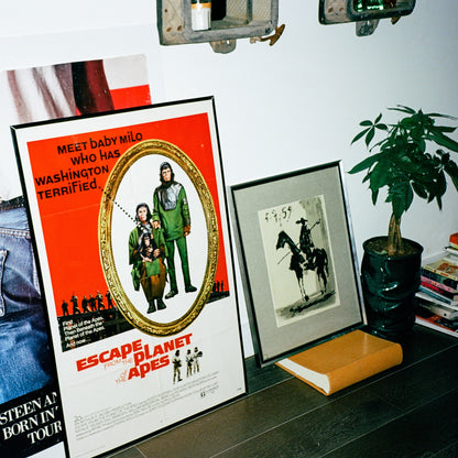 1971 Framed Vintage Escape from the Planet of the Apes Movie Poster Wall Art